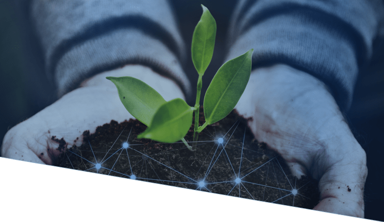 IPT services in the agriculture sector IPT services in the agriculture sector